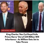 King Charles ‘Has Cut Royal Exile Prince Harry’ Out of $34Million Will Inheritance – As William Set to Take Throne, A Source Claims