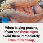 When buying prawns, if you see these signs, avoid them immediately. Even if it’s cheap, don’t buy it