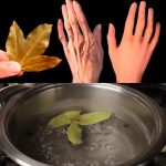 Bay Leaf: Nature’s Secret for Wrinkle-Free, Youthful Skin!