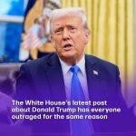 People outraged after White House shares bold four-word statement about Donald Trump with bizarre photo