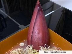 Banana Blossom Remedies: Natural Treatment for Diabetes, Stomach Issues, and High Blood Pressure